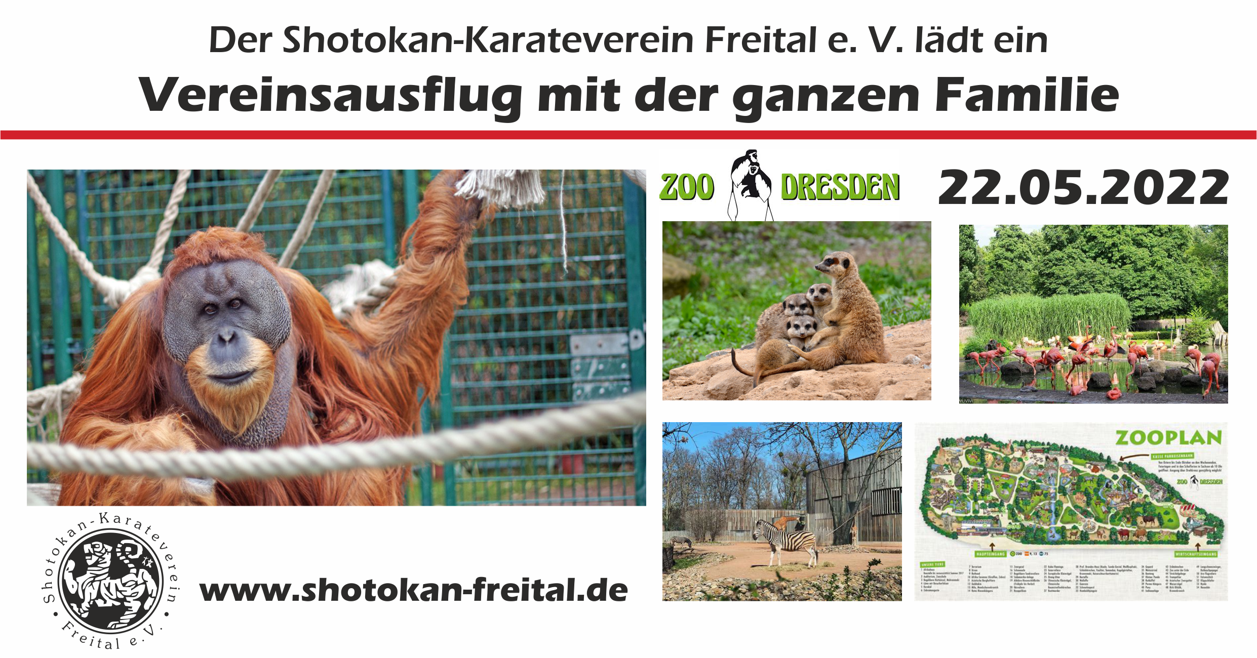 Vereinsausflug in den Dresdner Zoo